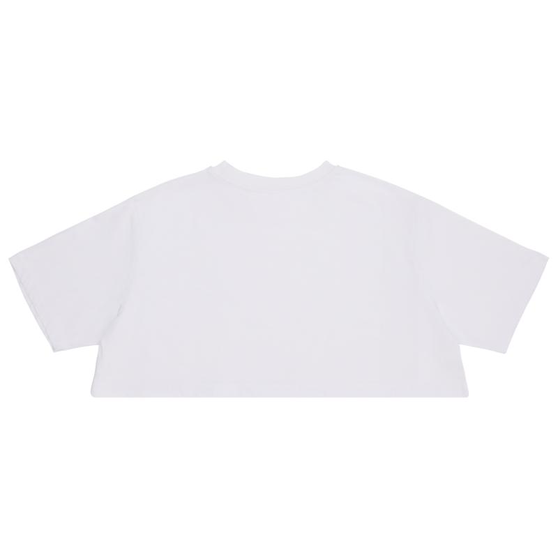Flamingo – Crop T-Shirt