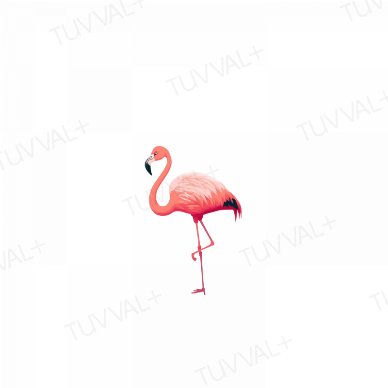 Flamingo – Telefon Kılıfı