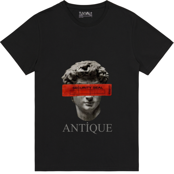 Antik çağ heykel sanatı ön baskılı t-shirt – Premium T-Shirt